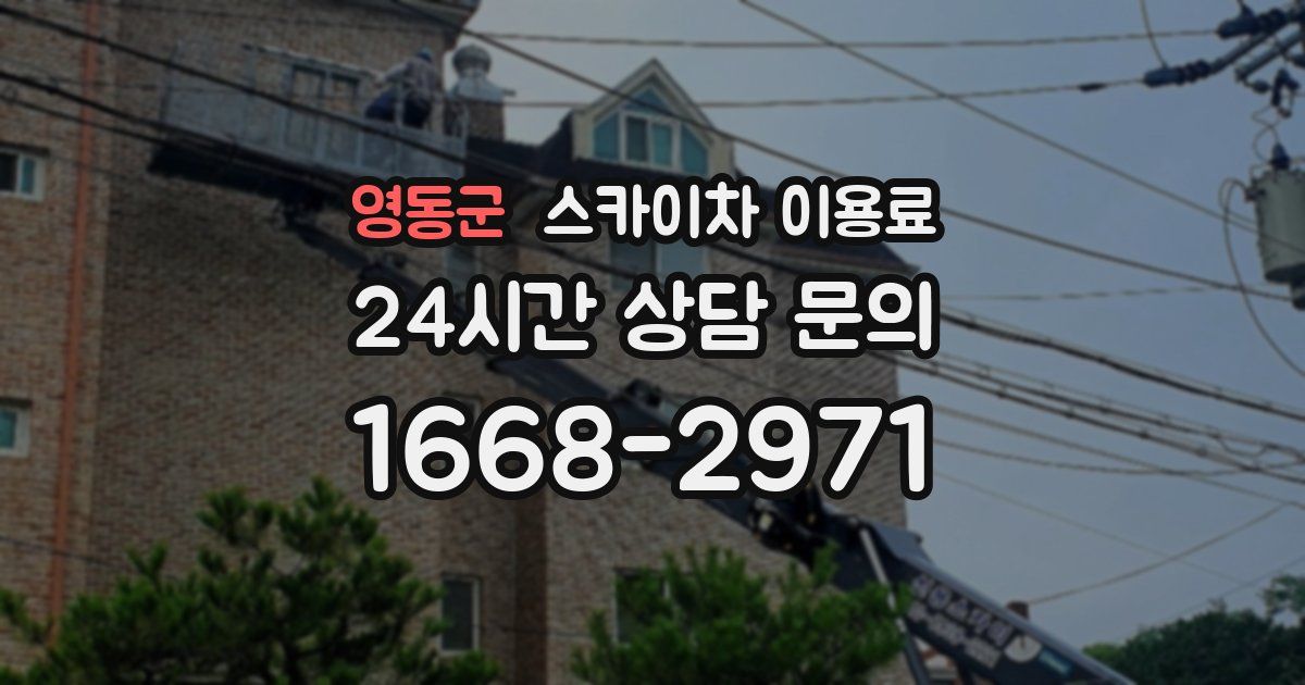 영동군 스카이차 이용료