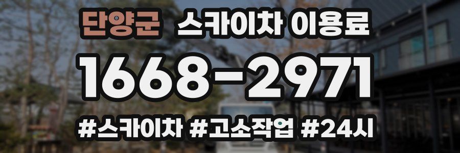 단양군 스카이차 이용료