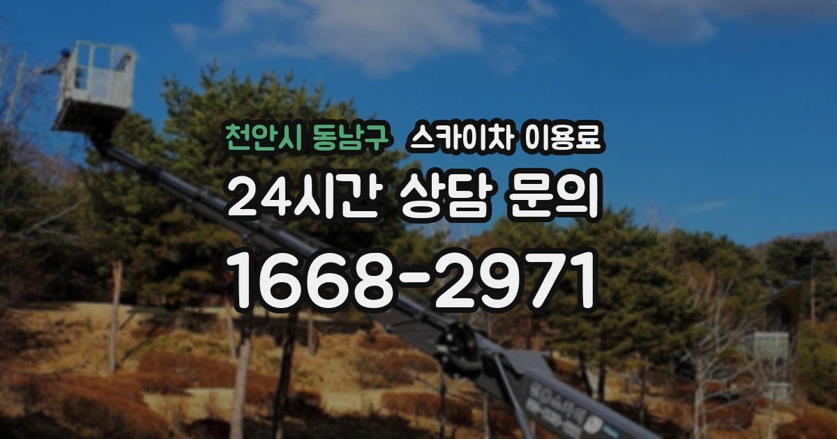 천안시 동남구 스카이차 이용료