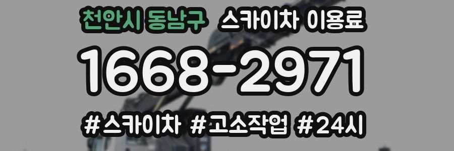 천안시 동남구 스카이차 이용료
