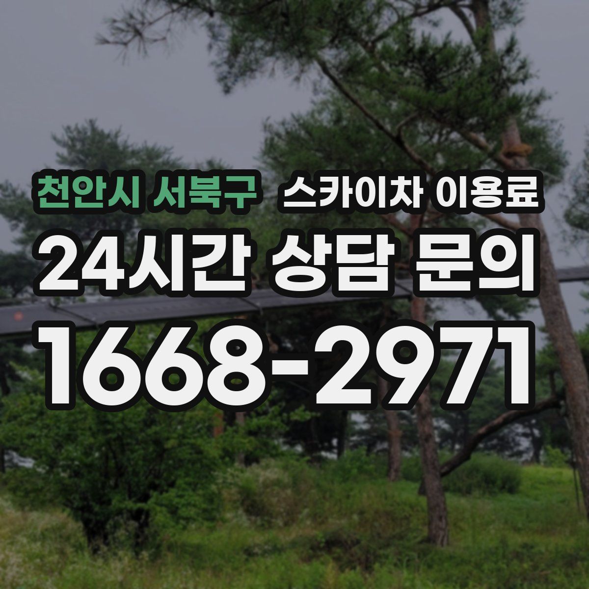 천안시 서북구 스카이차 이용료