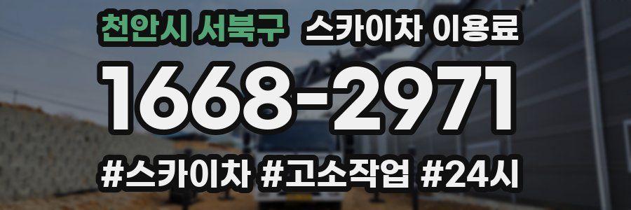 천안시 서북구 스카이차 이용료