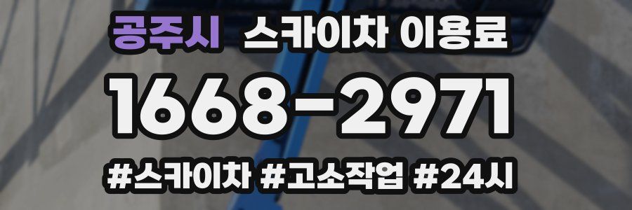 공주시 스카이차 이용료