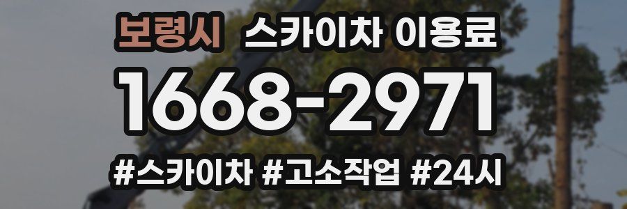 보령시 스카이차 이용료