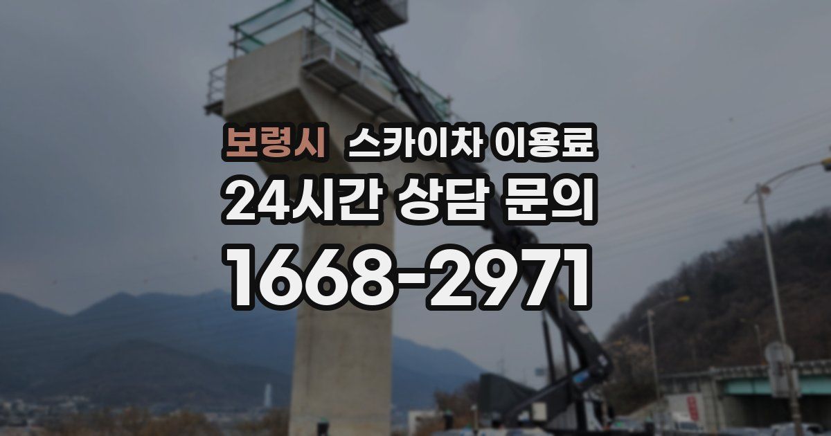 보령시 스카이차 이용료