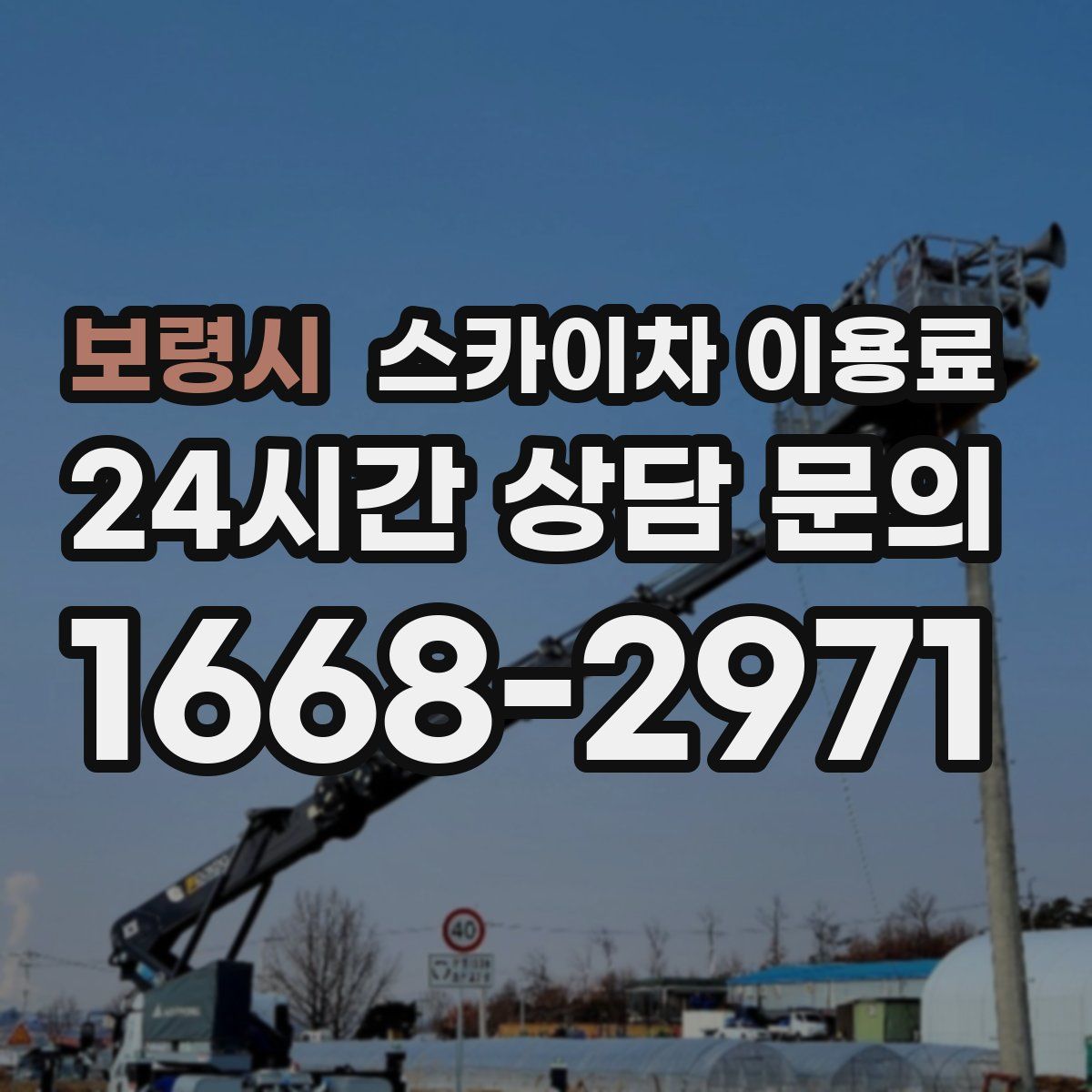 보령시 스카이차 이용료