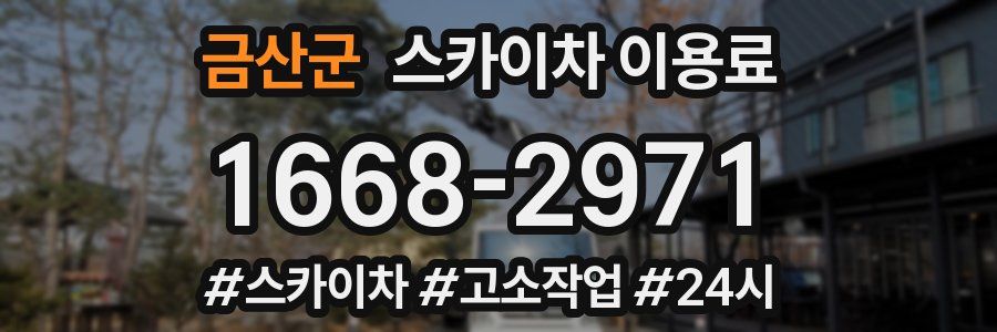 금산군 스카이차 이용료