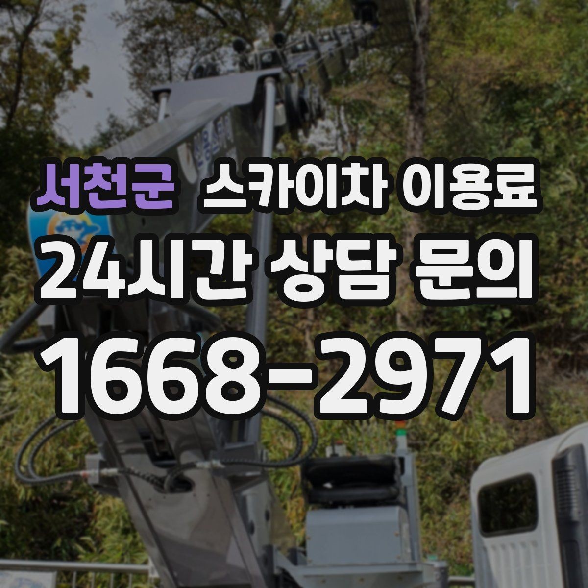서천군 스카이차 이용료 확인할 때 날짜와 시간대의 영향