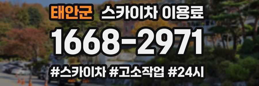 태안군 스카이차 이용료