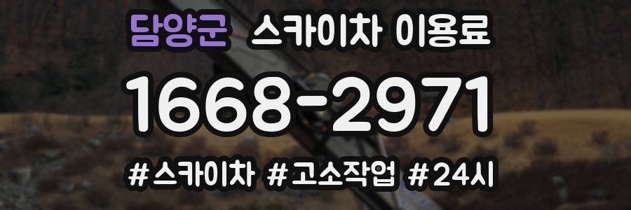 담양군 스카이차 이용료