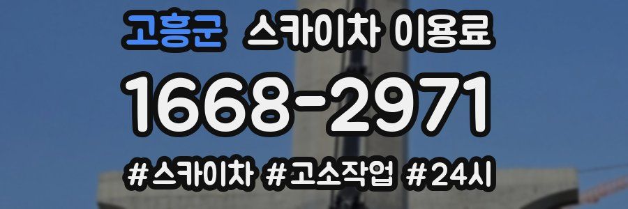 고흥군 스카이차 이용료
