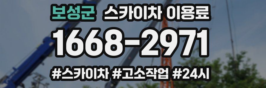보성군 스카이차 이용료