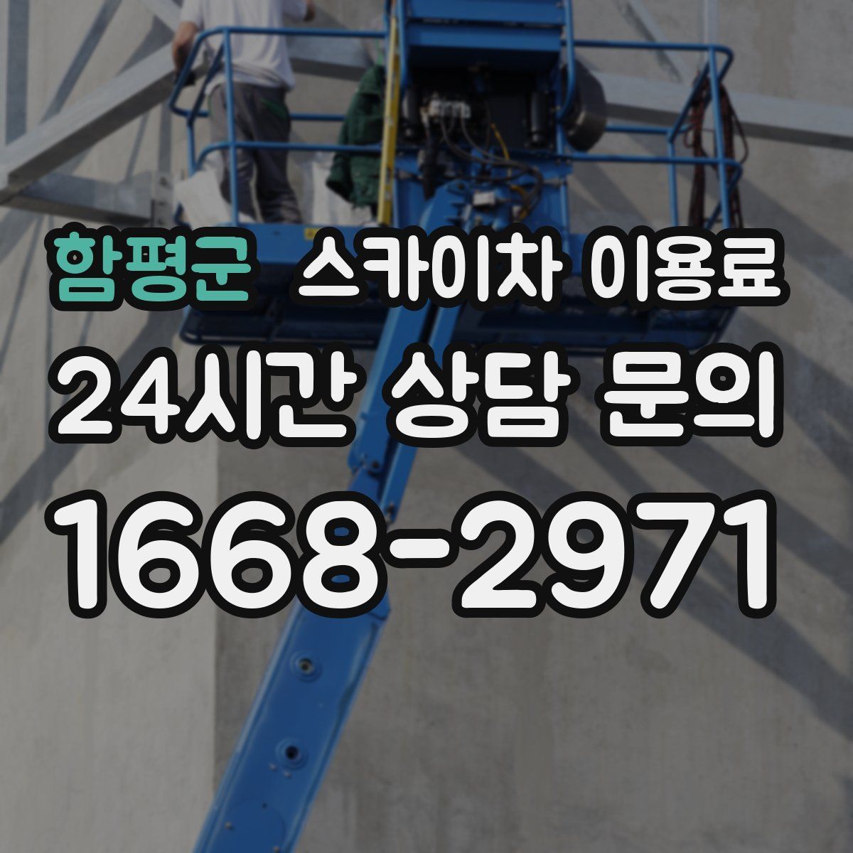 함평군 스카이차 이용료