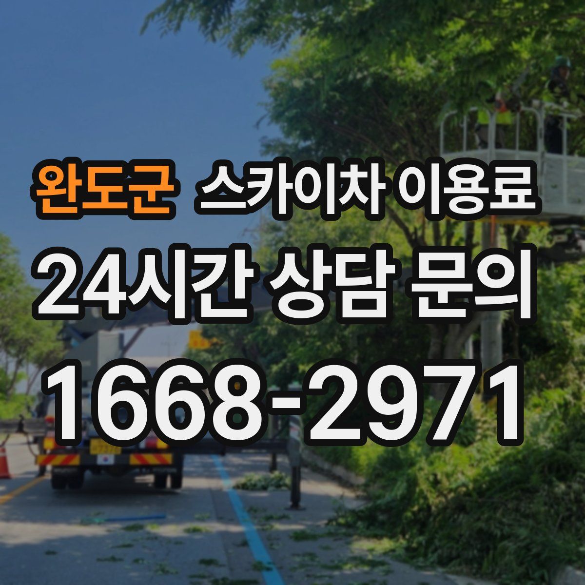 완도군 스카이차 이용료