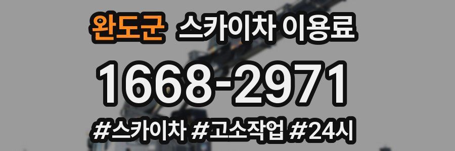 완도군 스카이차 이용료