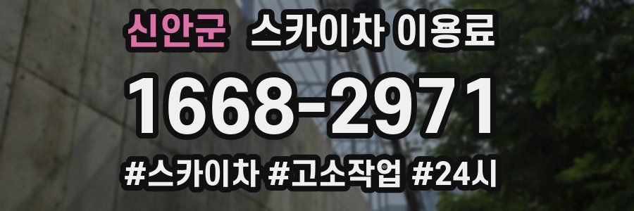 신안군 스카이차 이용료