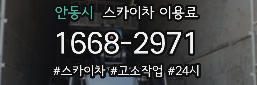 안동시 스카이차 이용료