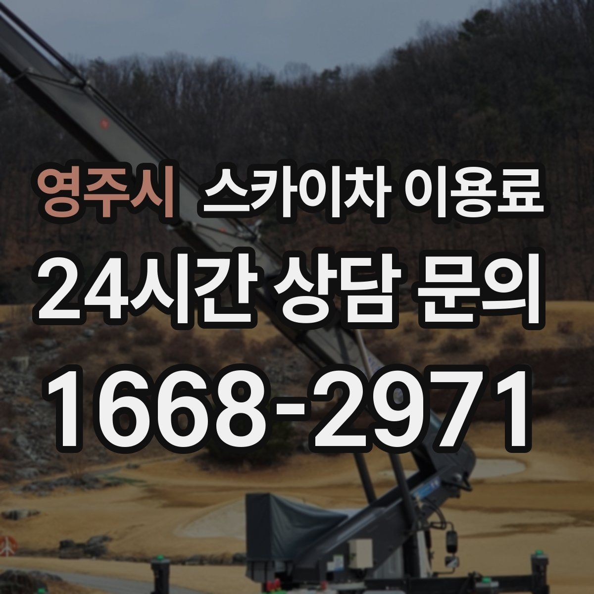 영주시 스카이차 이용료 문의가 많을 때 자주 나오는 질문