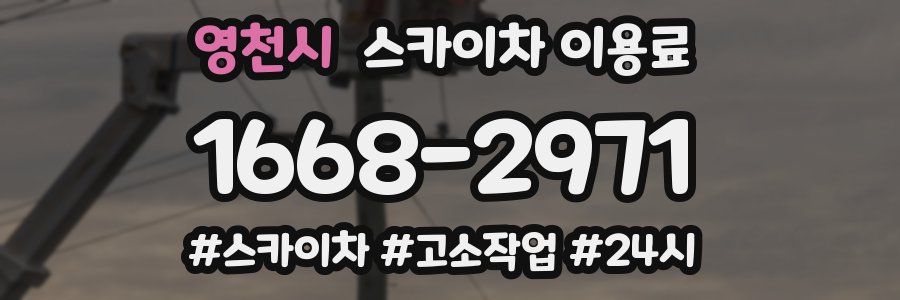 영천시 스카이차 이용료