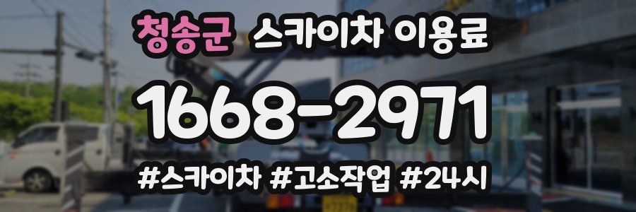 청송군 스카이차 이용료