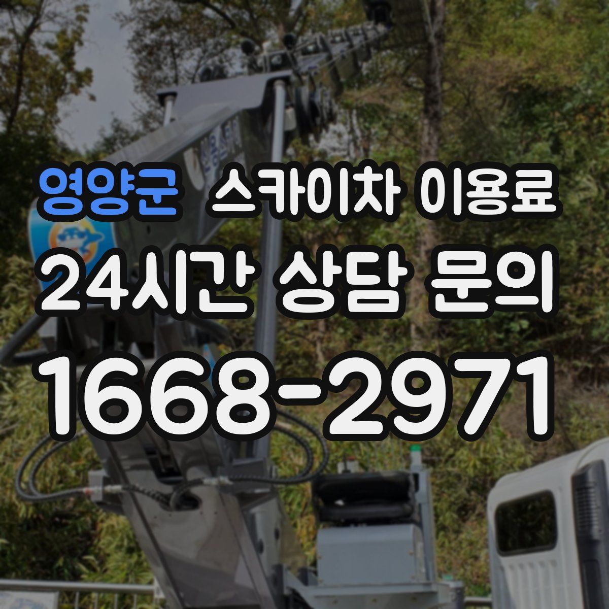 영양군 스카이차 이용료