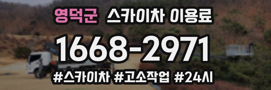 영덕군 스카이차 이용료