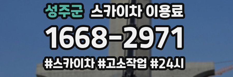 성주군 스카이차 이용료