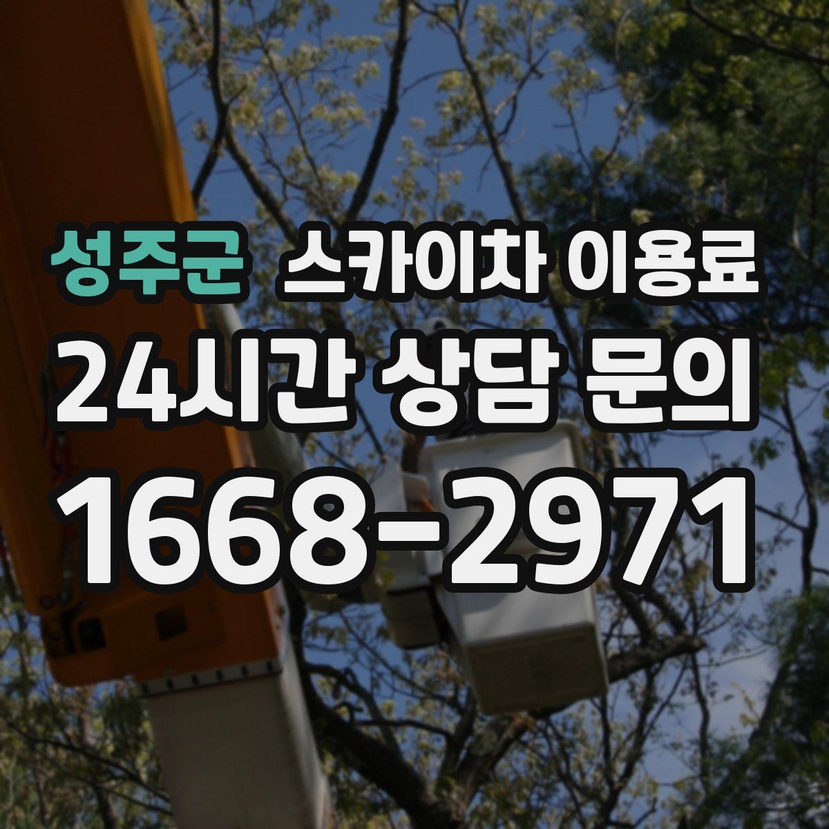 성주군 스카이차 이용료