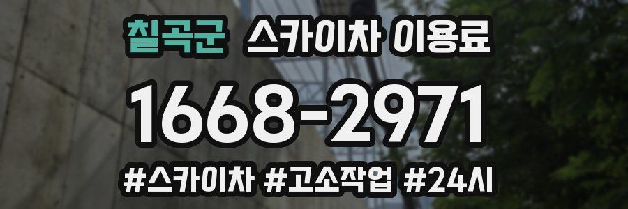 칠곡군 스카이차 이용료