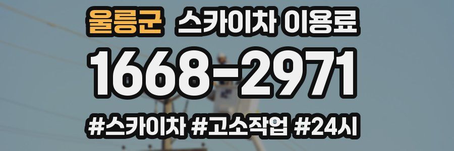 울릉군 스카이차 이용료
