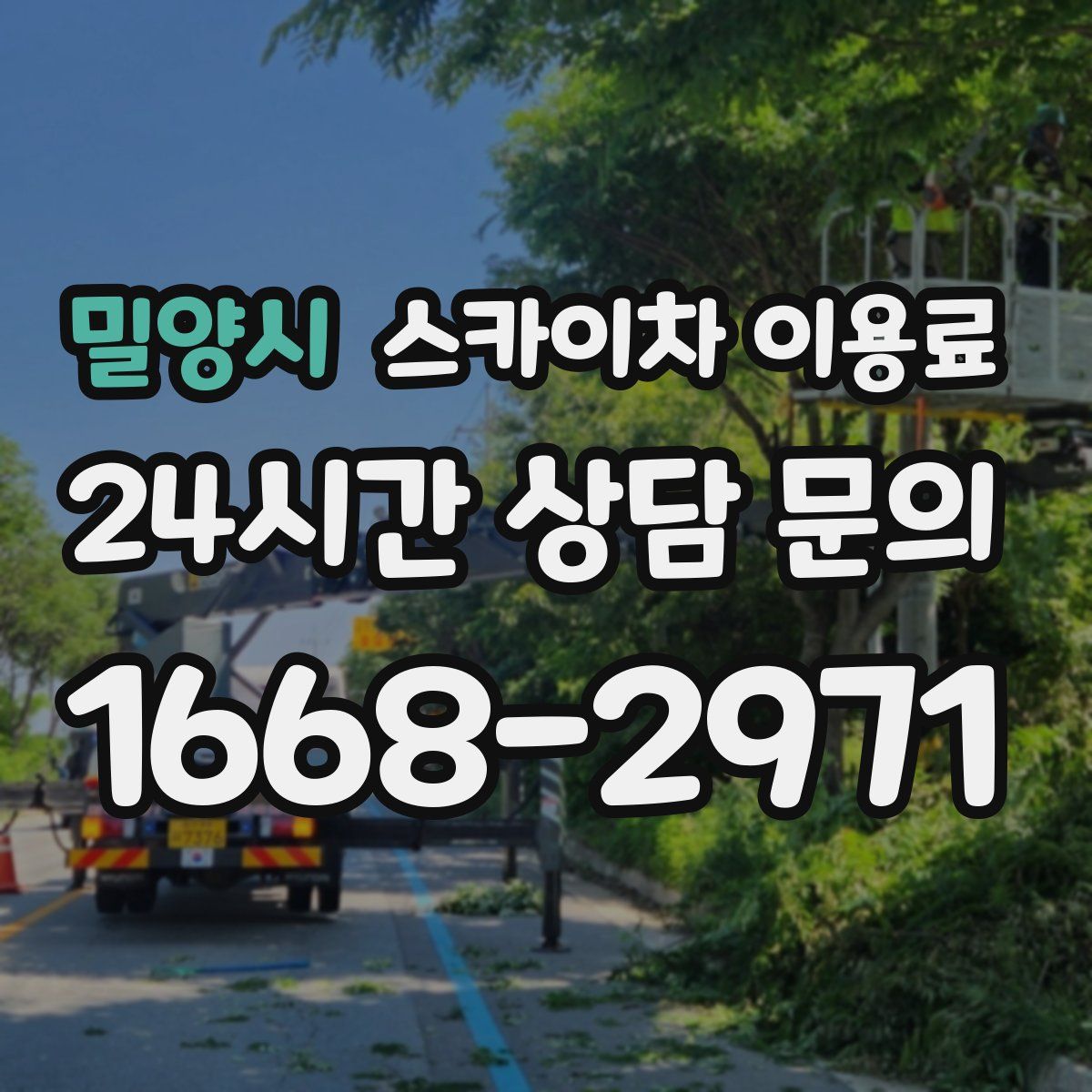 밀양시 스카이차 이용료