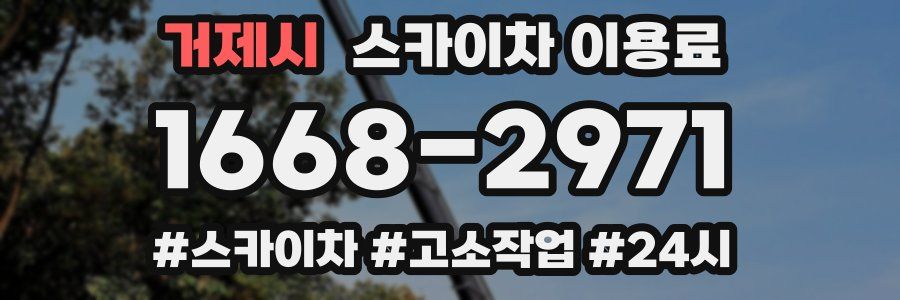 거제시 스카이차 이용료