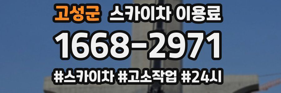 고성군 스카이차 이용료