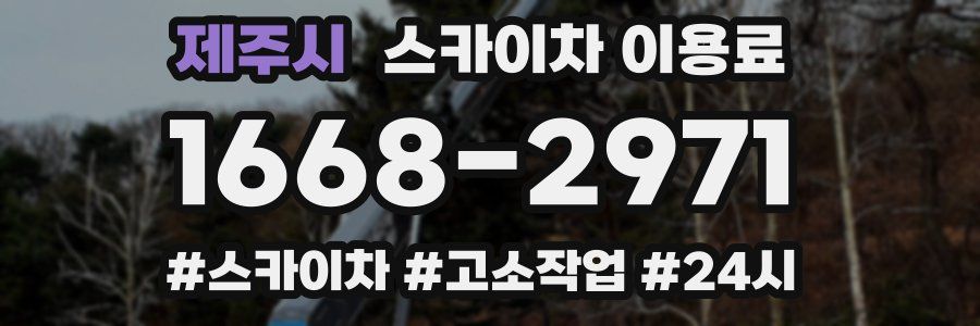 제주시 스카이차 이용료