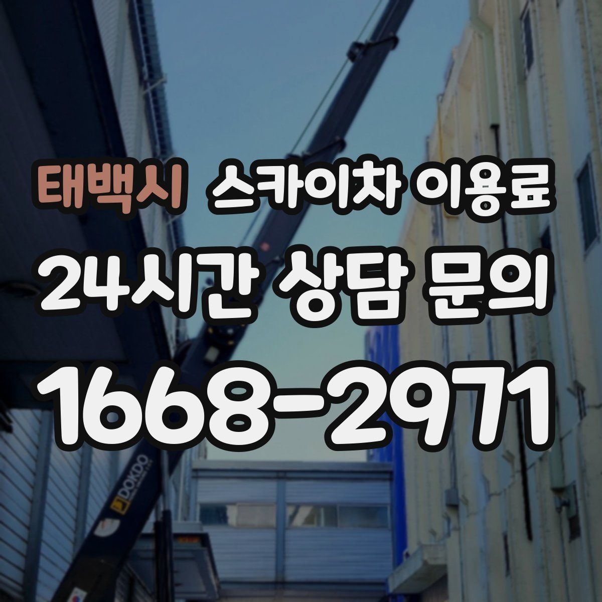 태백시 스카이차 이용료