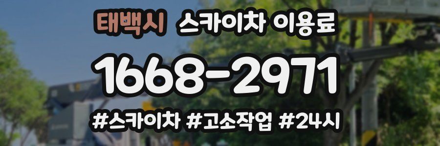 태백시 스카이차 이용료
