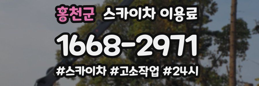 홍천군 스카이차 이용료