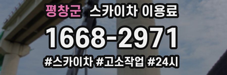평창군 스카이차 이용료