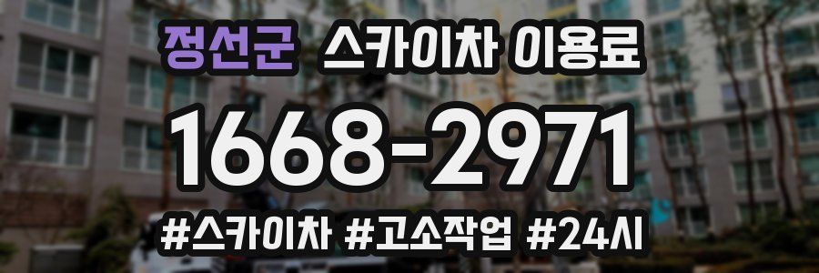 정선군 스카이차 이용료