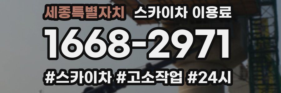 세종특별자치 스카이차 이용료