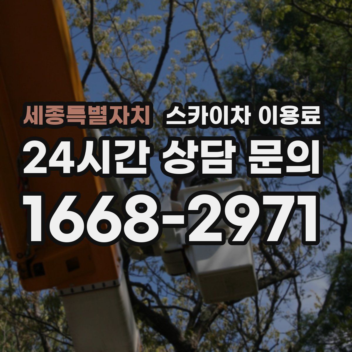 세종특별자치 스카이차 이용료