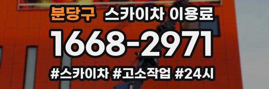 분당구 스카이차 이용료