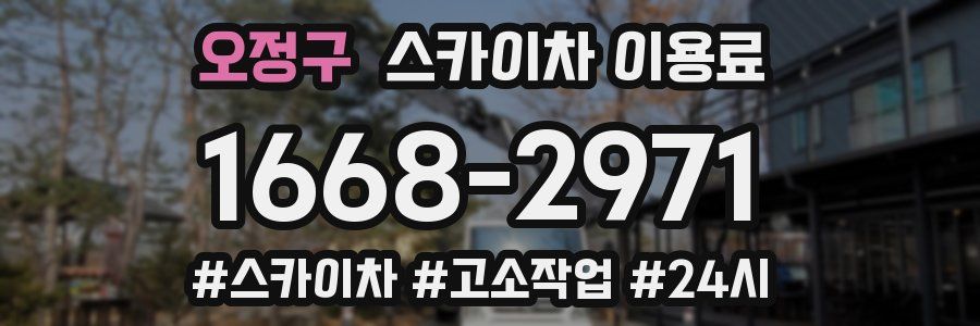 오정구 스카이차 이용료