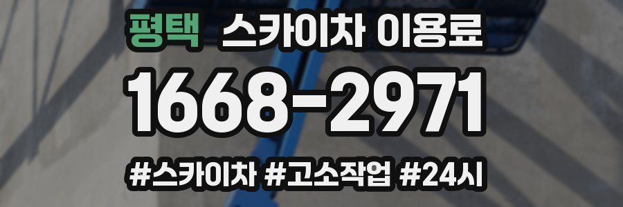 평택 스카이차 이용료