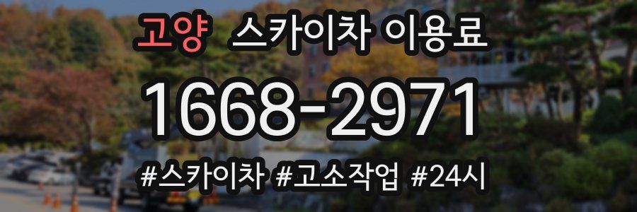 고양 스카이차 이용료