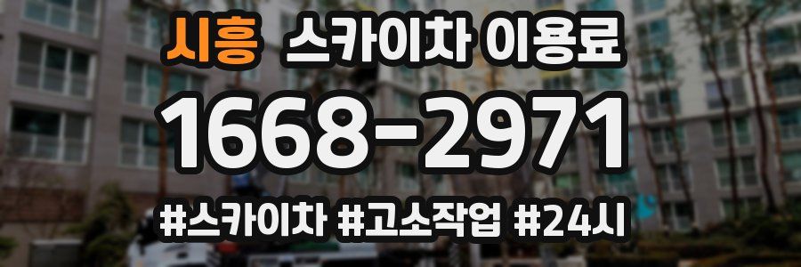 시흥 스카이차 이용료