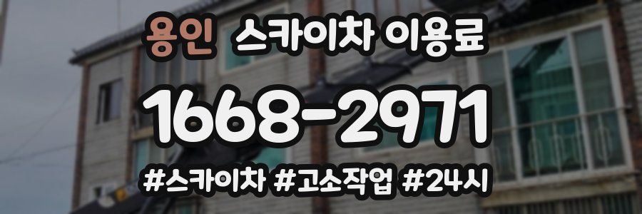 용인 스카이차 이용료