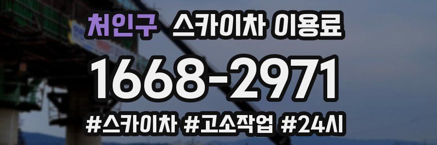 처인구 스카이차 이용료