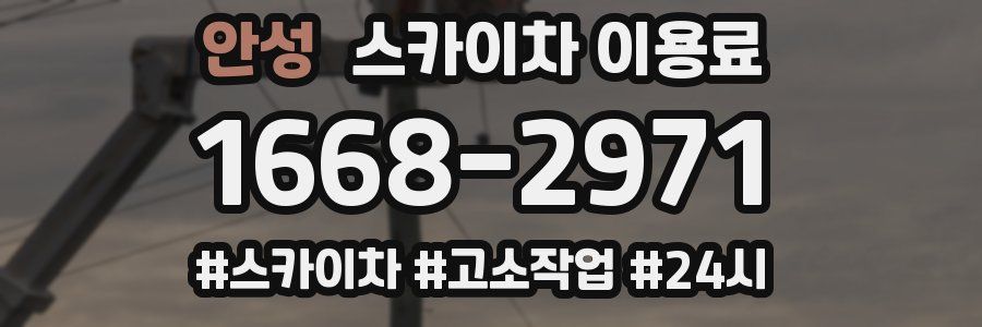 안성 스카이차 이용료