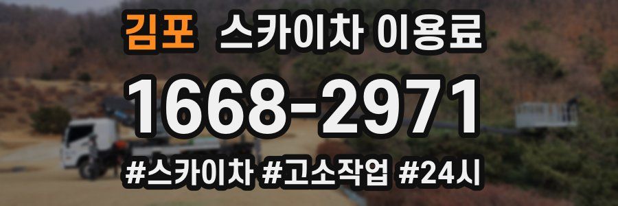 김포 스카이차 이용료